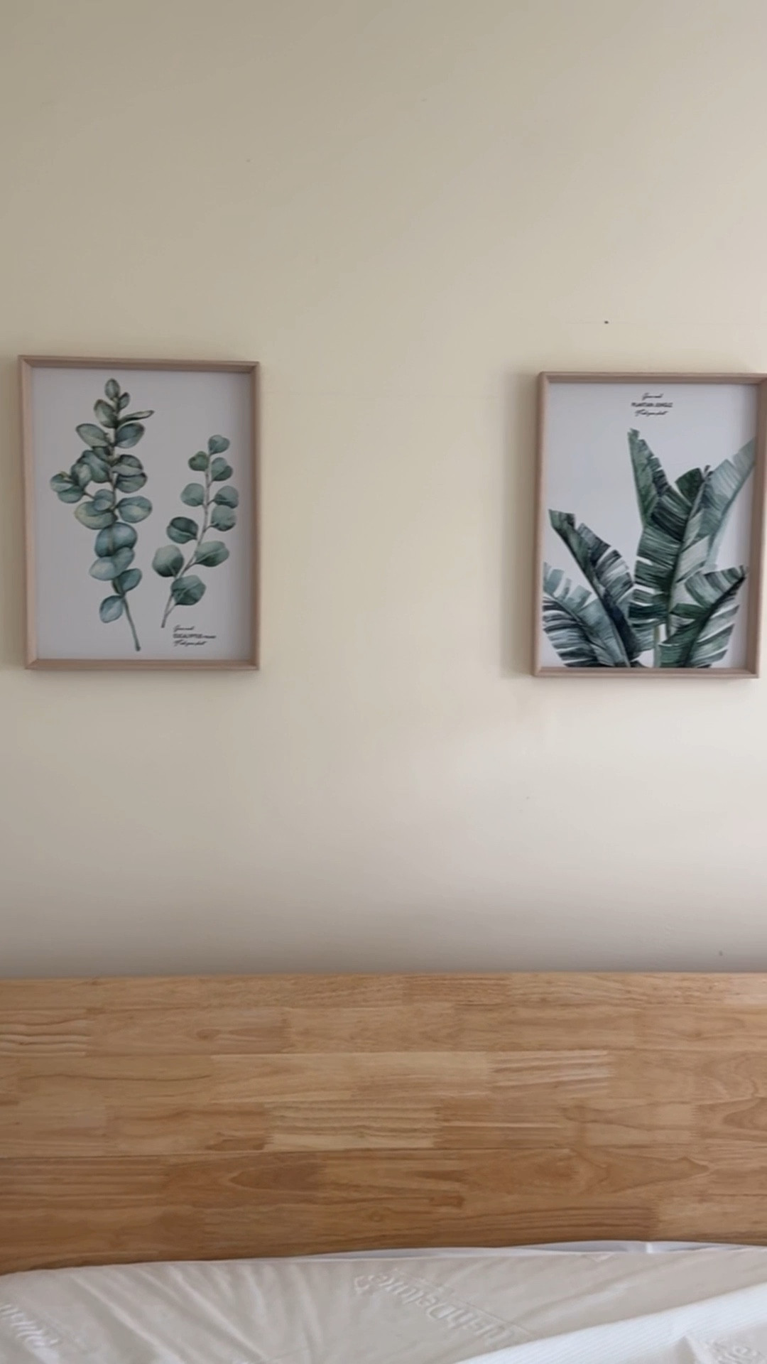 Wall decor 

#LTKHome #LTKFindsUnder100 #LTKFindsUnder50