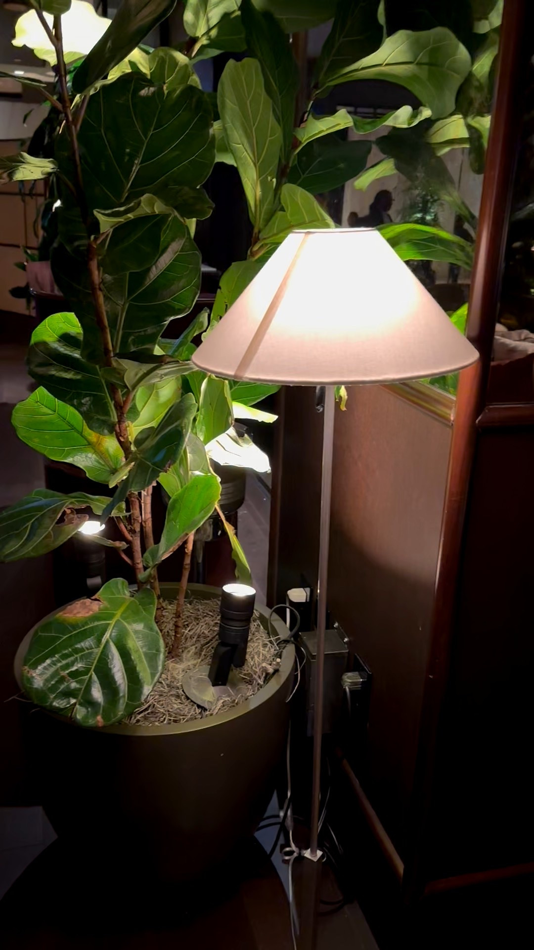 The greenery and a soft lamp glow — just enough to make the whole space feel cozy and holiday-ready.
#cozyhome #holidayvibes #floorlamp #greenerydecor #homeinspo

#LTKCyberWeek #LTKHome #LTKHoliday