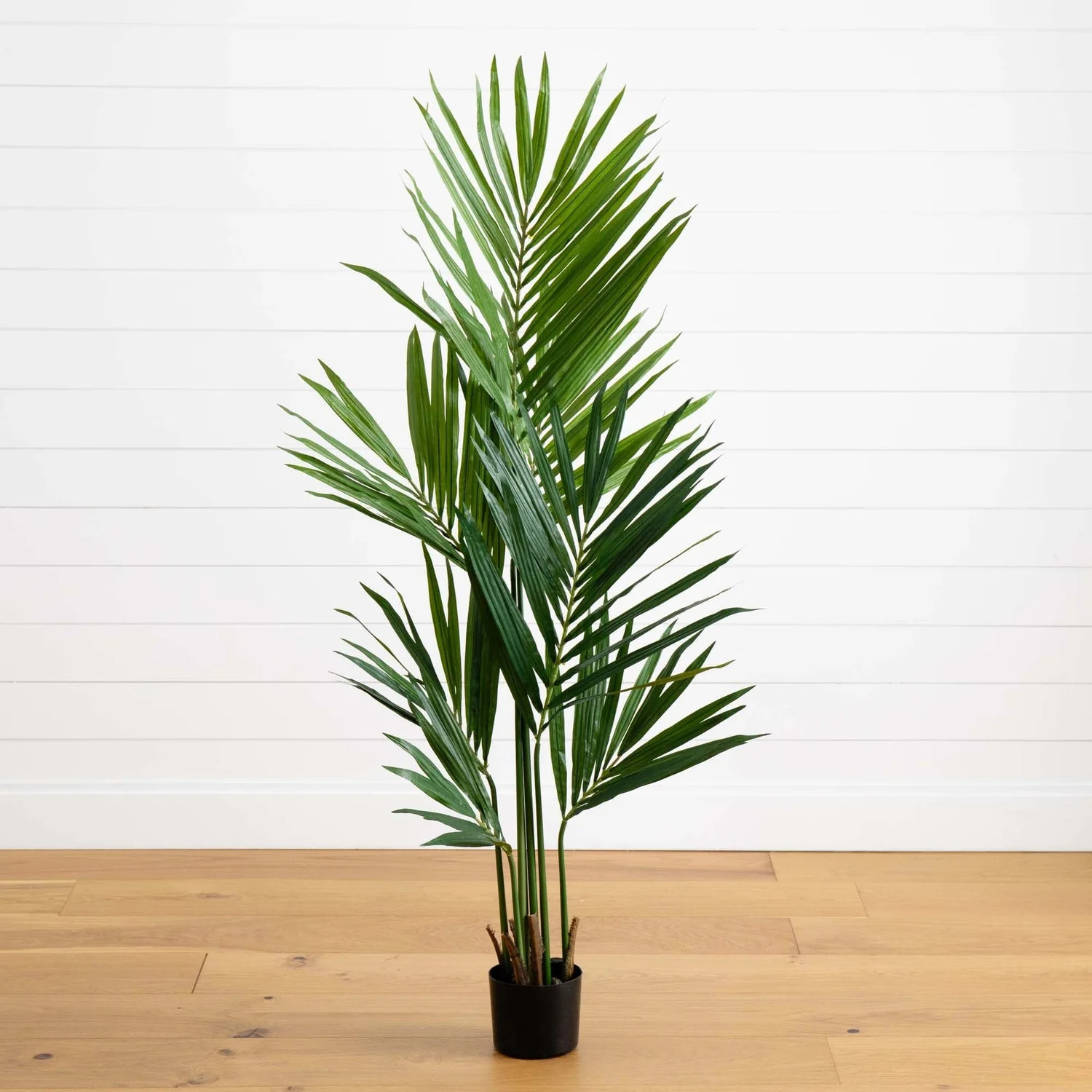 5' Kentia Palm Silk Tree | Nearly Natural | Nearly Natural