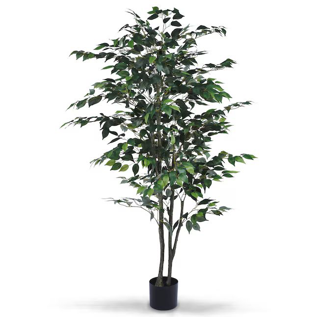 LTMATE 70.8-in Green Indoor/Outdoor Ficus Artificial Tree | Lowe's