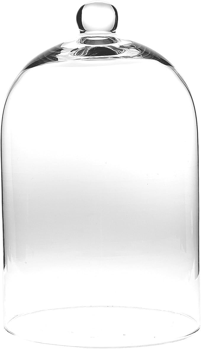 Abbott Collection 400-CLOCHE-729 Cloche, 10 inches H, Clear | Amazon (US)