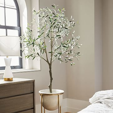 Faux Potted Green Olive Tree - 6' | West Elm (US)