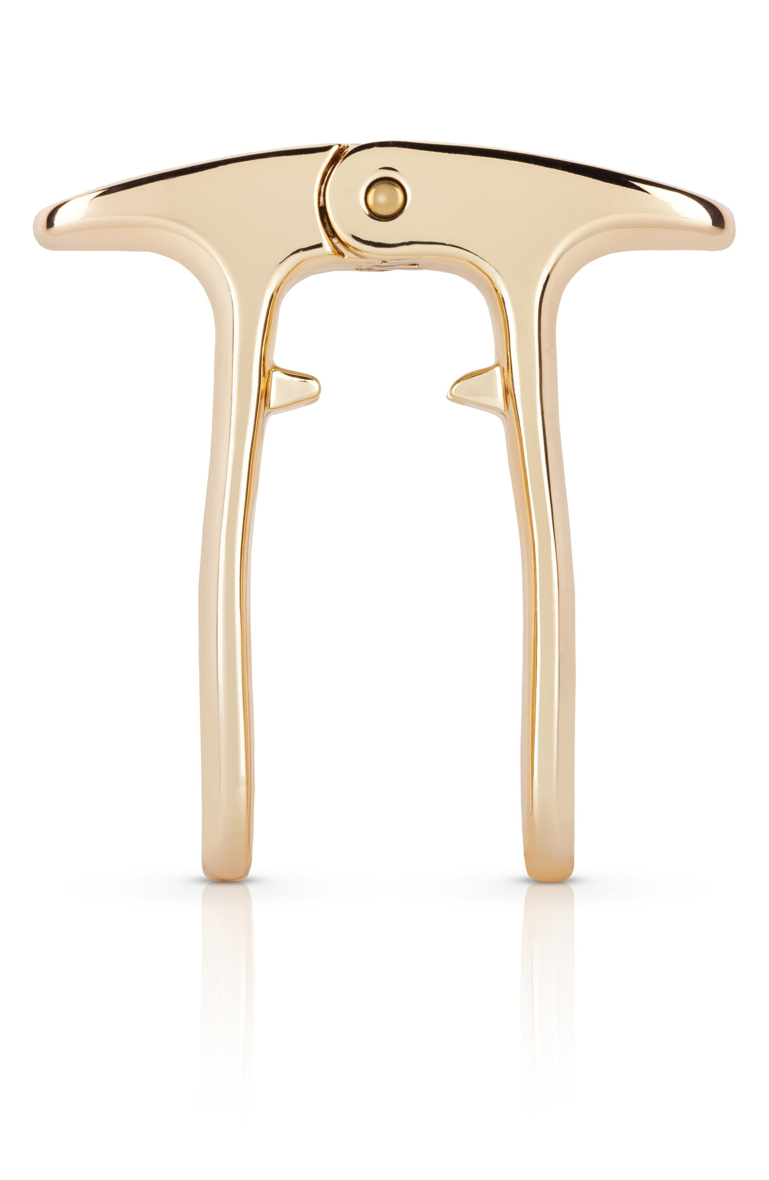 Champagne Bottle Opener | Nordstrom