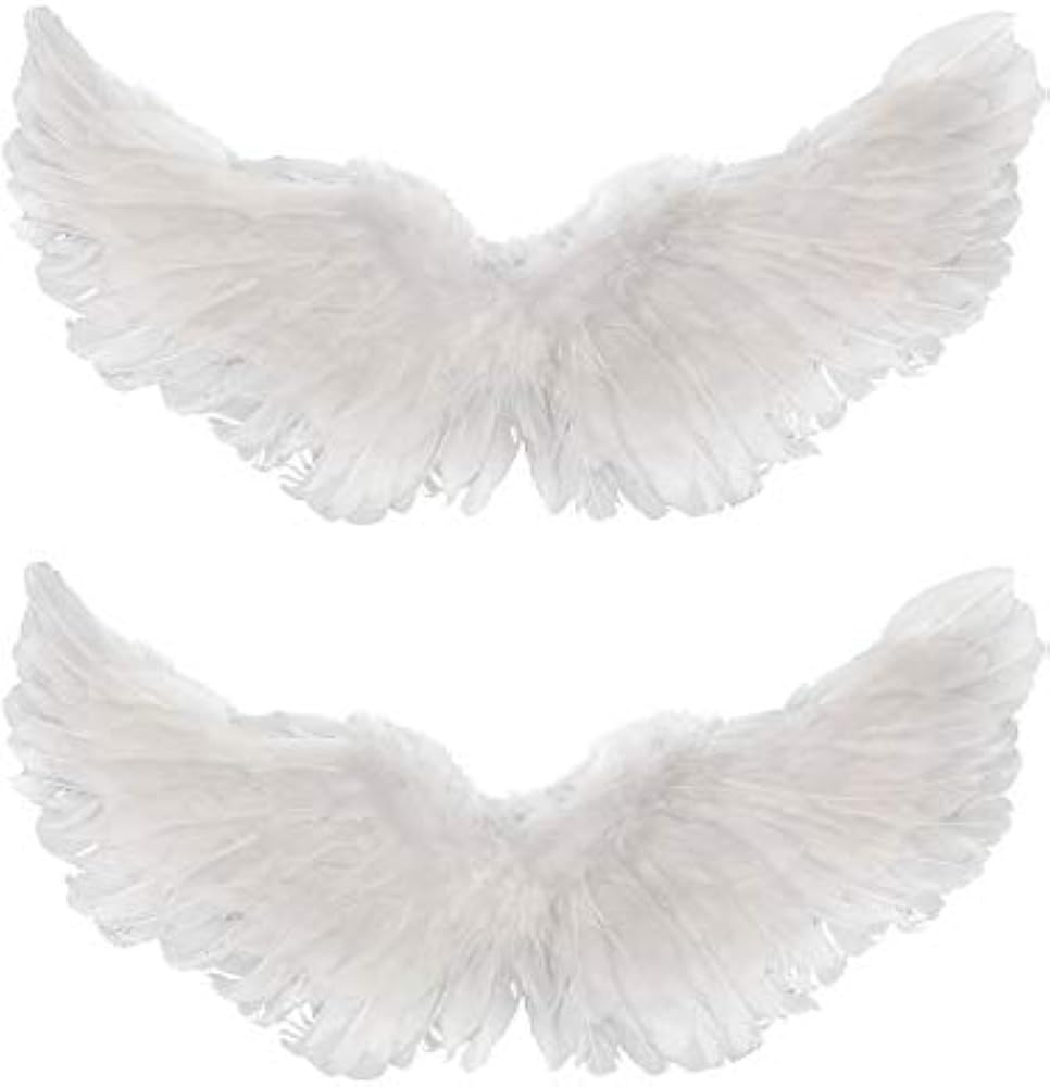 Gejoy Angel Wings 2 Pack Feather Halloween Costume for Women Girls | Amazon (US)