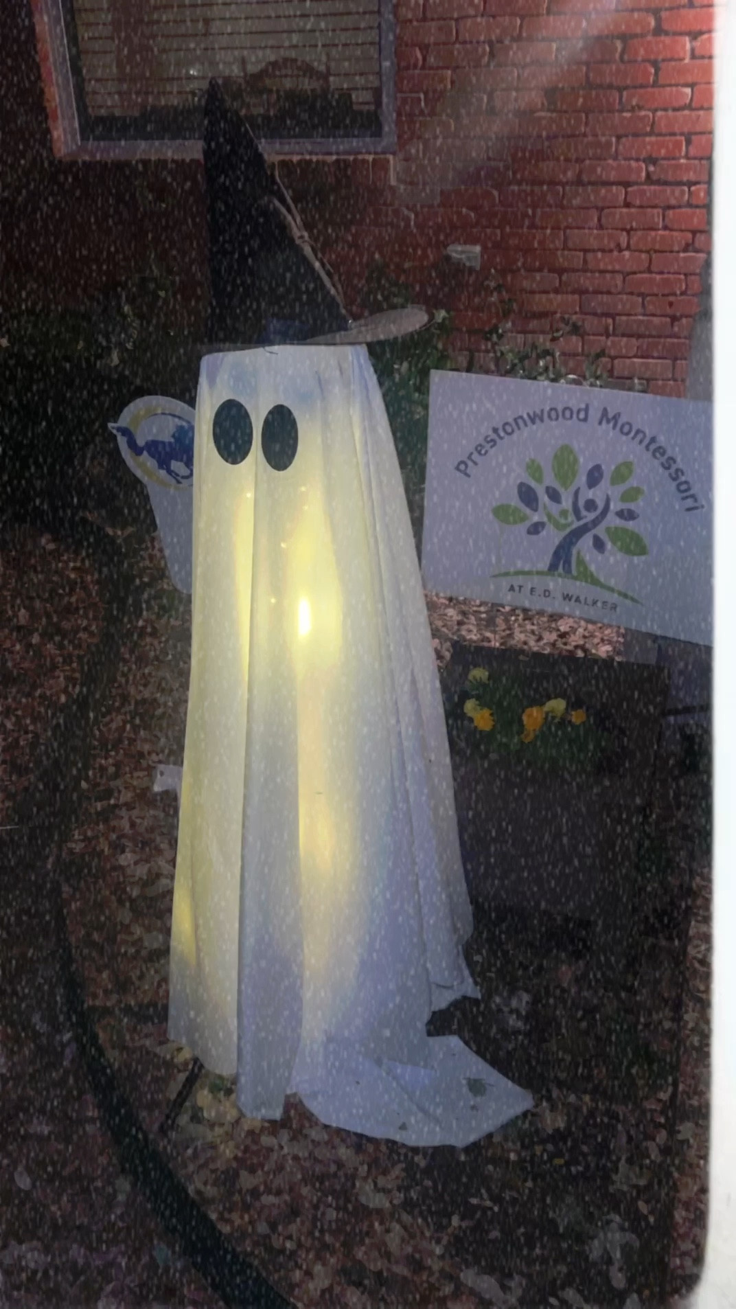 cute not spooky Halloween 🎃

#LTKFindsUnder100 #LTKHalloween #LTKSeasonal