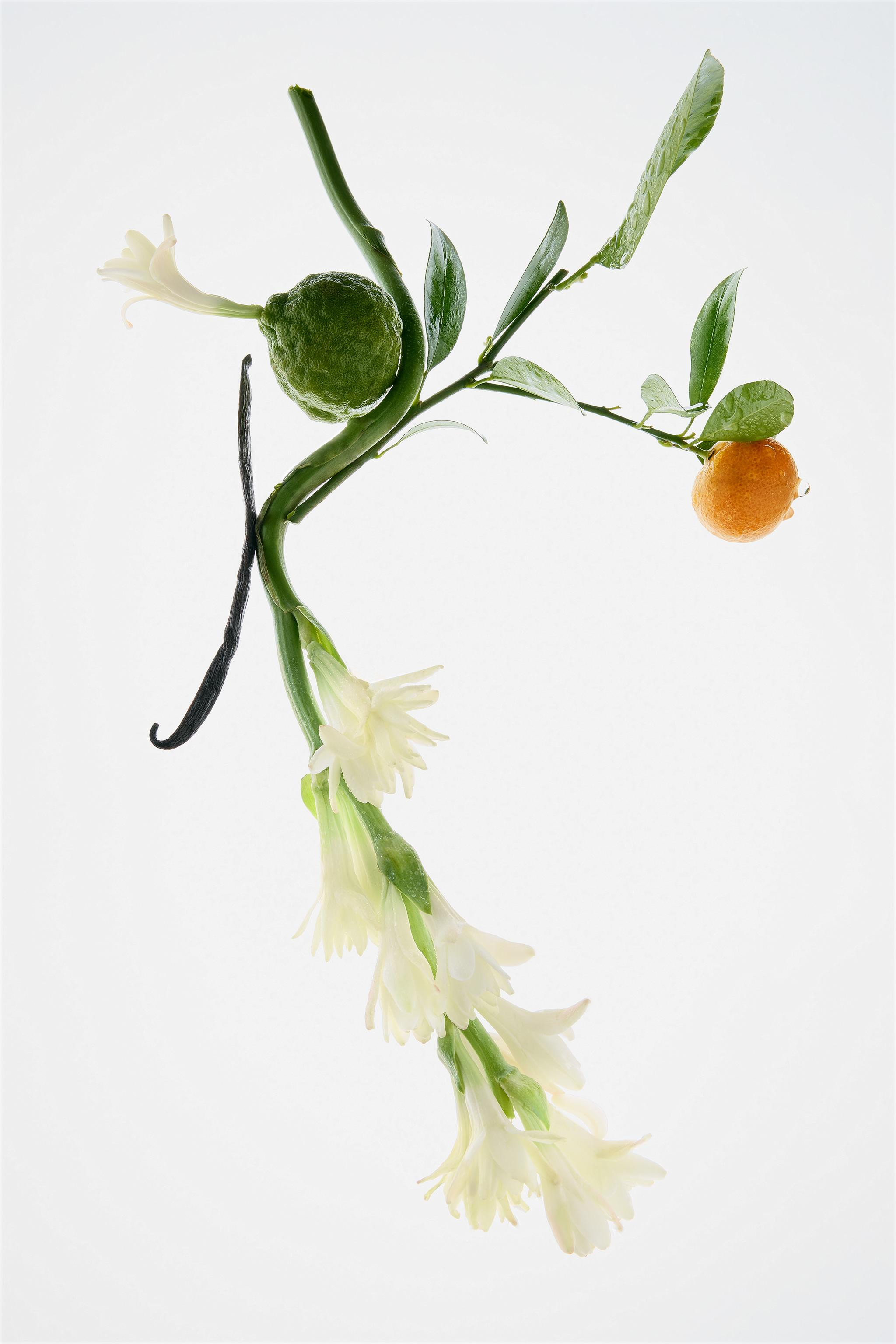 SUBLIME EPOQUE EDP 80 ML (2.71 FL. OZ). | Zara US