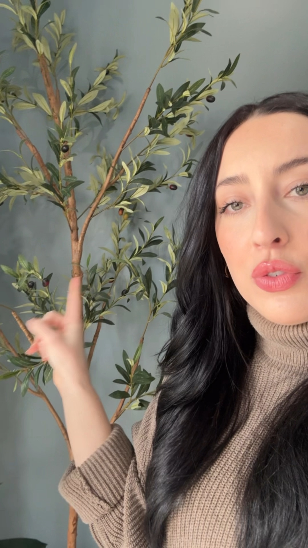 My most recommended faux tree to date!! Genuinely don’t understand why it’s so cheap. I buy the 6ft & then pop it in a larger/taller pot to make it closer to 7/8ft!

Faux tree
Faux plants
Olive tree
Best indoor plants 
Home decor
Tall tree
Realistic faux tree
Realistic olive tree



#LTKSaleAlert #LTKHome #LTKMostLoved