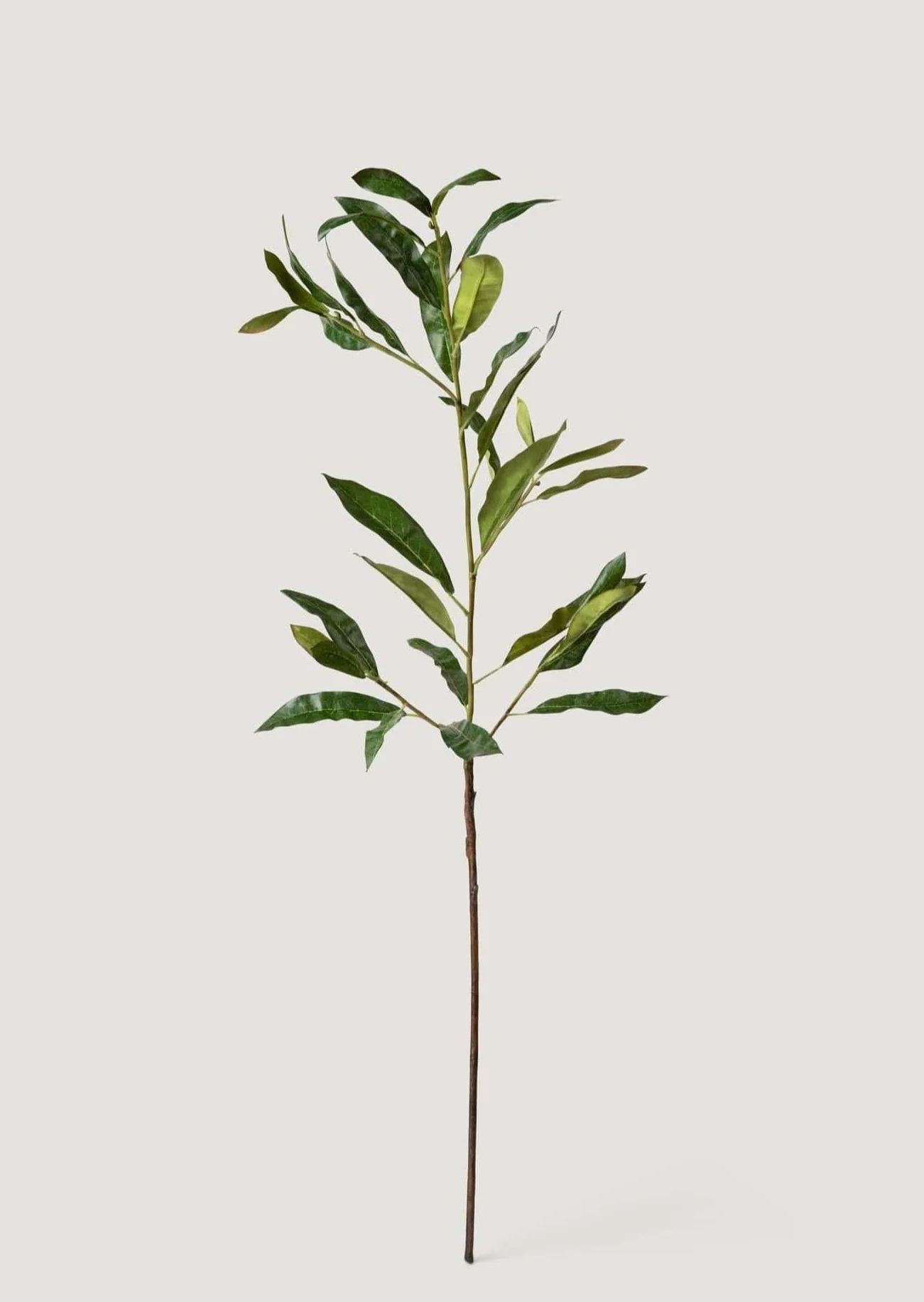 Artificial Coffee Leaf Branch - 39" | Afloral