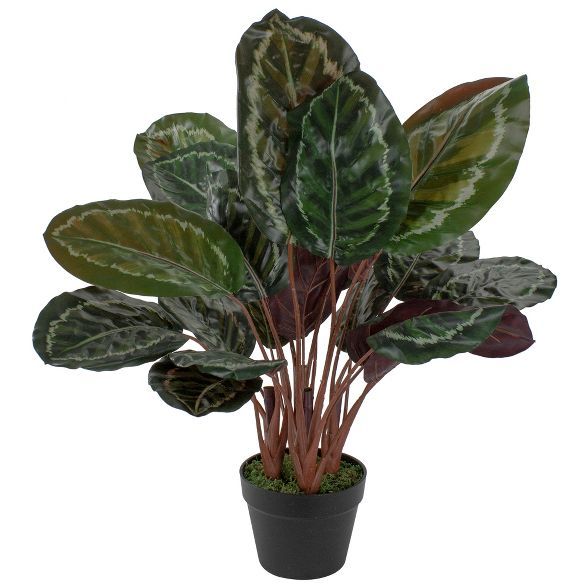 Northlight 30" Artificial Large Green Leaf Calathea Potted Plant | Target