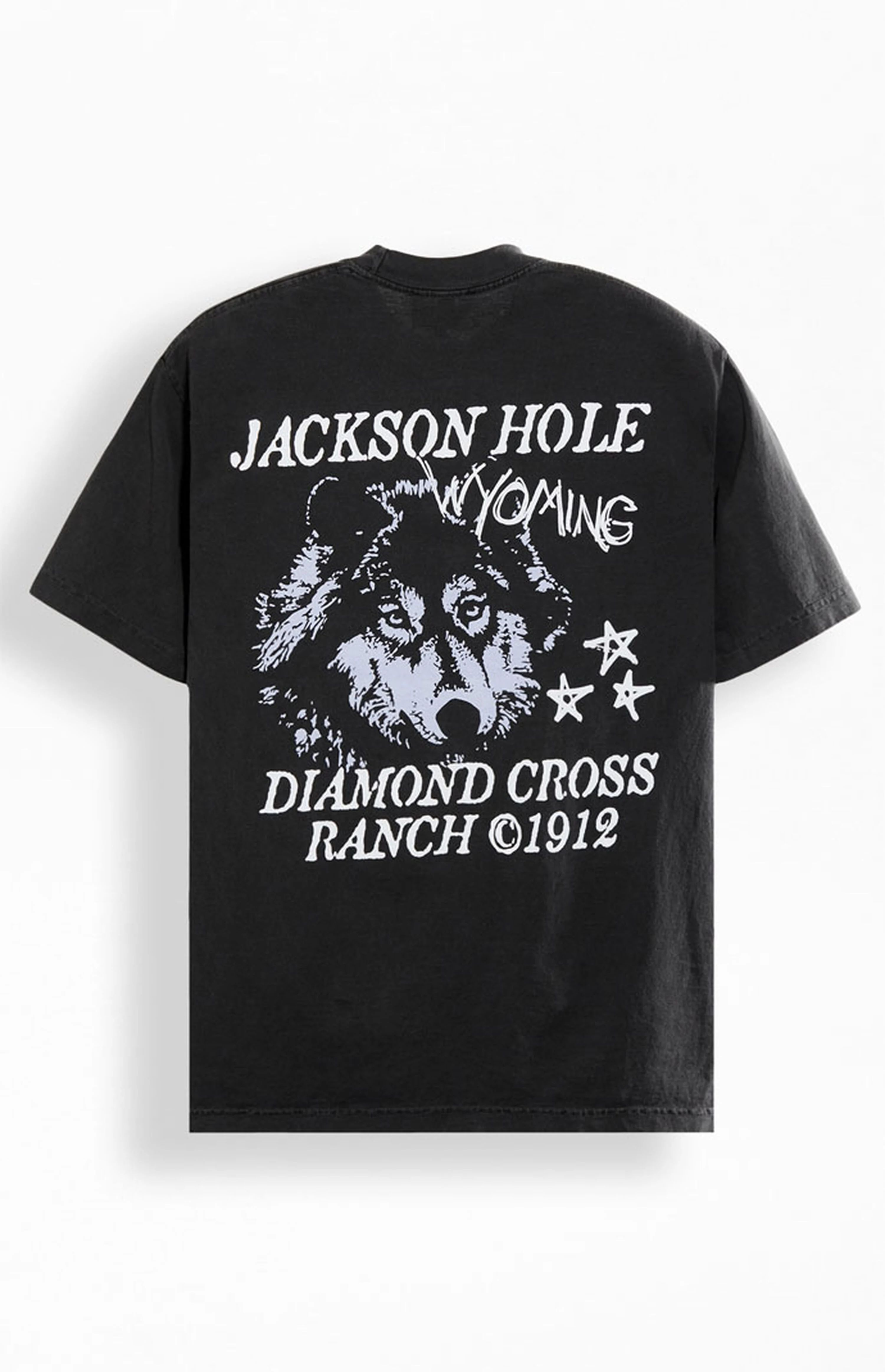 Diamond Cross Ranch Running T-Shirt | PacSun