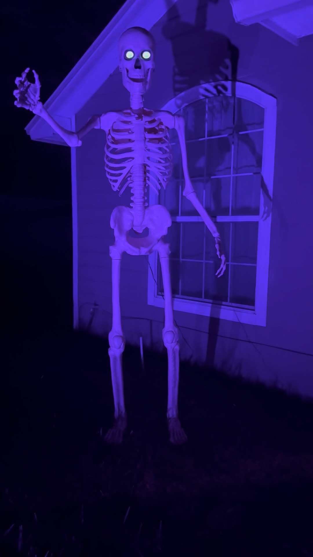 Ready for Halloween! 🎃 Loving my pink Halloween stuff this year—so excited! Let the countdown begin… how many days till Halloween?! 👻💖 #HalloweenCountdown #PinkHalloween #SpookySeason #HalloweenVibes #InTheSpirit #HalloweenDecor 

#LTKHoliday #LTKHalloween #LTKSeasonal