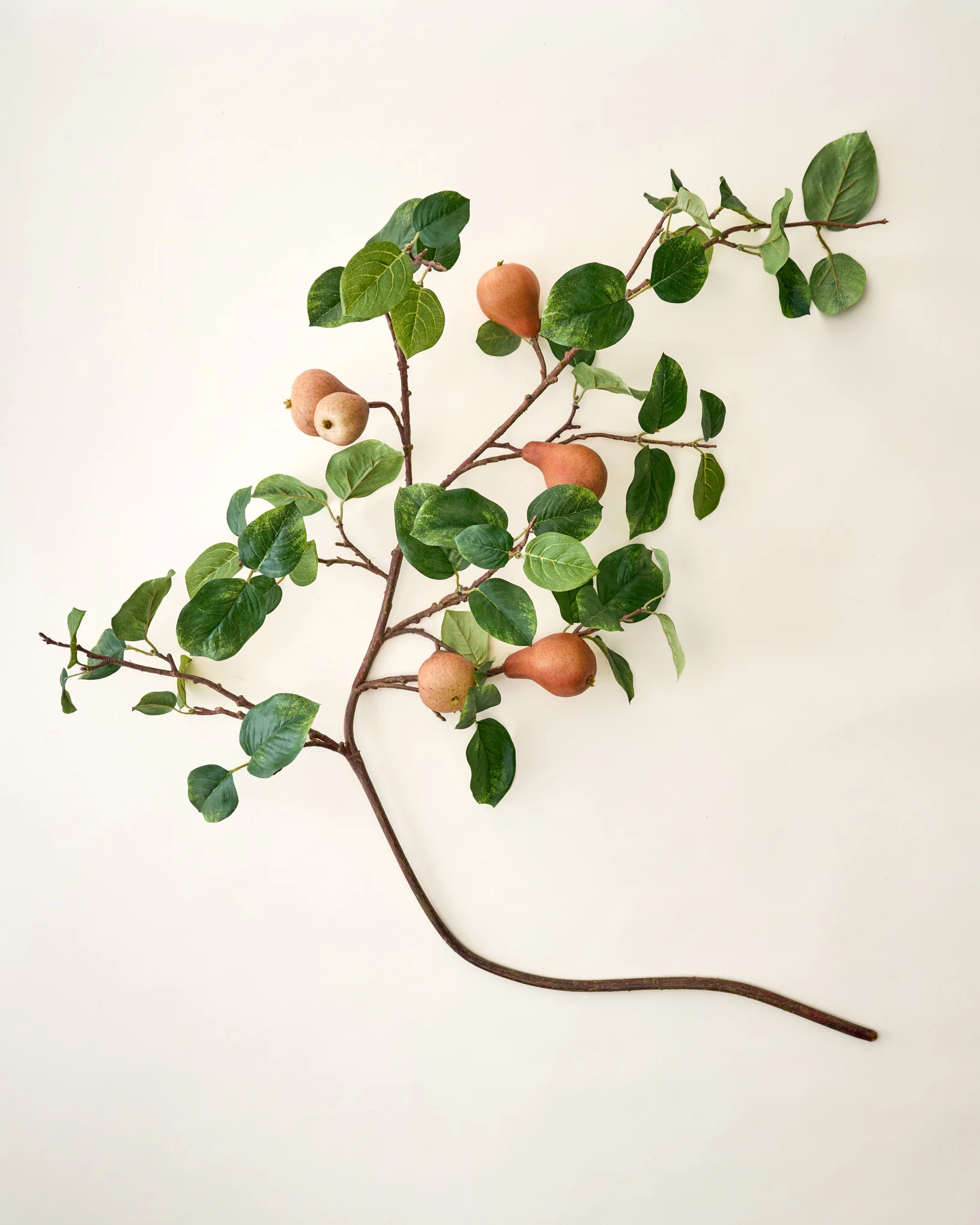 Oversized Pear Stem | Magnolia