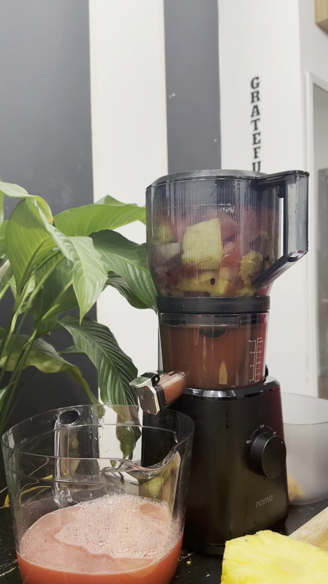 If consistency is the goal, the right juicer is the cheat code 🍊💚
Less prep, better juice, and easy cleanup makes showing up for yourself so much simpler.
I added my go-to juicer to LTK for anyone ready to upgrade their routine the smart way.

#juicingdaily #juicerfavorites #wellnessathome #healthynewyear #juiceprep #kitchenupgrade #LTKhome #LTKfinds #LTKsale #shoppingfavorites #onlineshopping #selfcaretools #ShoppingWithPriiincesss #Atlantamom #AtlantaCreator #Atlantacontentcreators

#LTKGiftGuide #LTKHoliday #LTKfitnessgoals