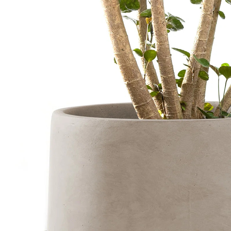 Kante Round Concrete Planters, Outdoor Indoor Pots Containers with Drainage Holes Set | Wayfair North America