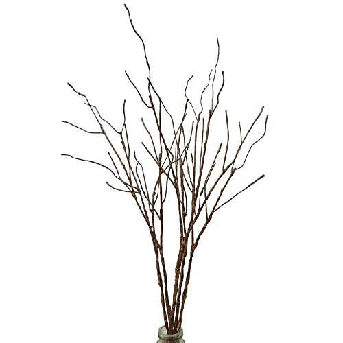 Bakoukiter 5PCS Artificial Lifelike Curly Willow Branches Decorative Dried Birch Twigs 25.9 Inch Fake Bendable Sticks Stems for Craft Vases Home Wedding Decor | Amazon (US)