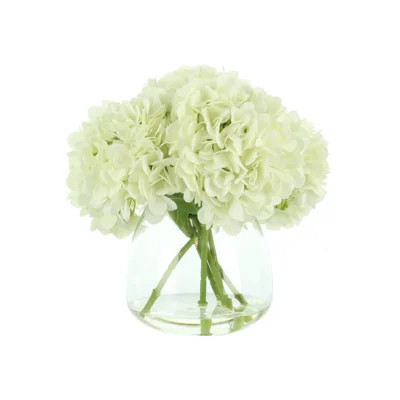 Hydrangea in Vase | Wayfair North America