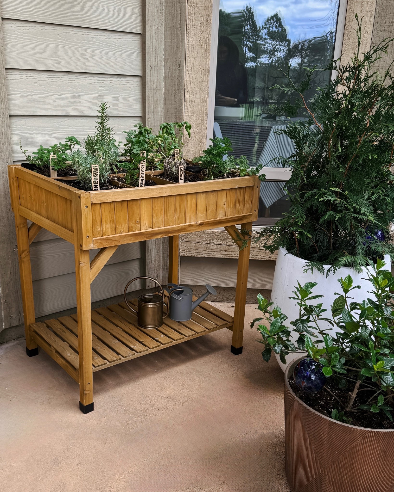 A few affordable little upgrades I made to our outdoor patio from Amazon and Walmart . New stripe rug, herb garden stakes, new planters and the best faux tree (my real plants had a very hard time surviving this summer) accent pillows, and this outdoor grill we have been loving 



#LTKStyleTip #LTKFamily #LTKSeasonal