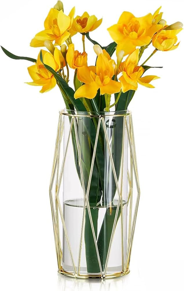Gold Modern Flower Vases for Centerpieces – Hewory 8.5inch Glass Vases with Metal Stand, Wide B... | Amazon (US)