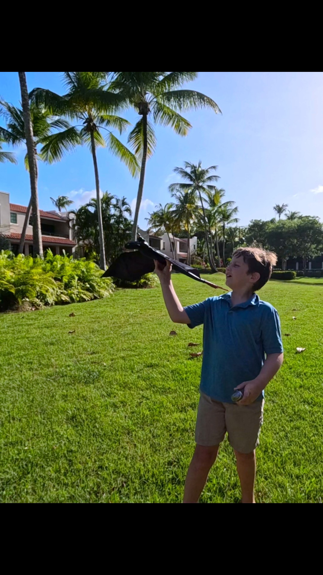 How to train your dragon! Favorite toys

#LTKKids #LTKFamily