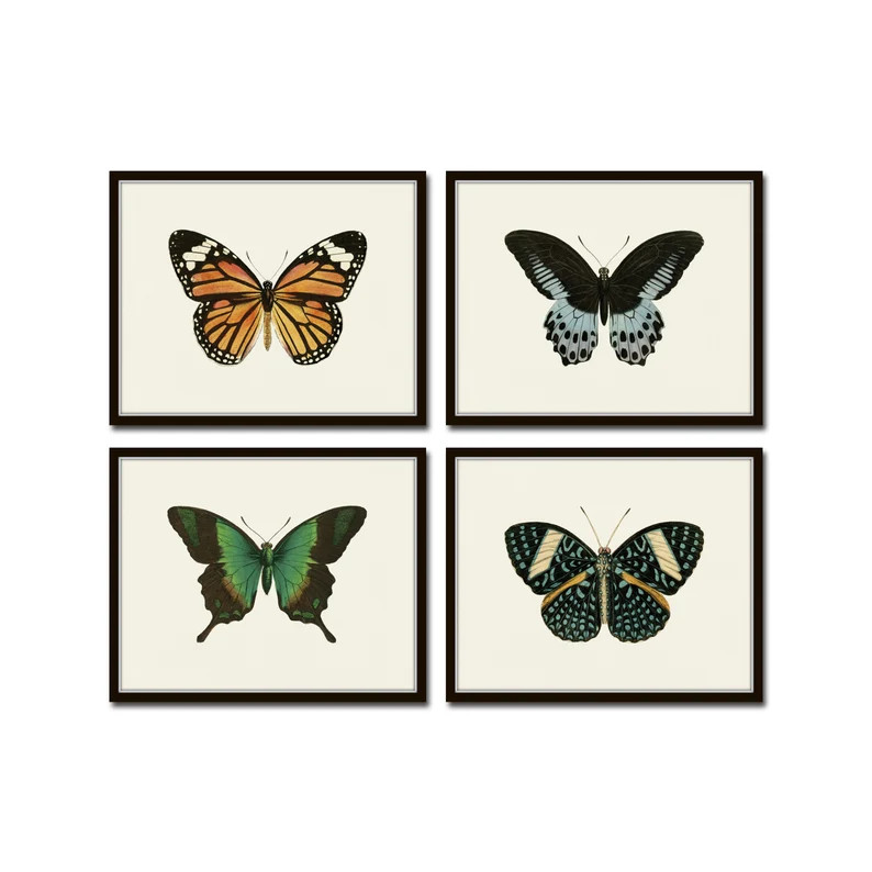 Vintage Butterfly Print Set No. 8, Butterfly Prints, Insect Art, Home Decor, Wall Art, Print Set,... | Etsy (US)