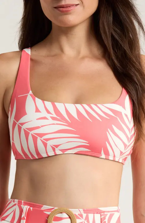 Hutch Conny Bikini Top in Coral Paradise Foliage at Nordstrom, Size Medium | Nordstrom