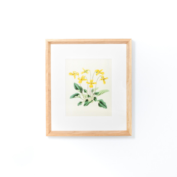 Cherry with White | Framebridge