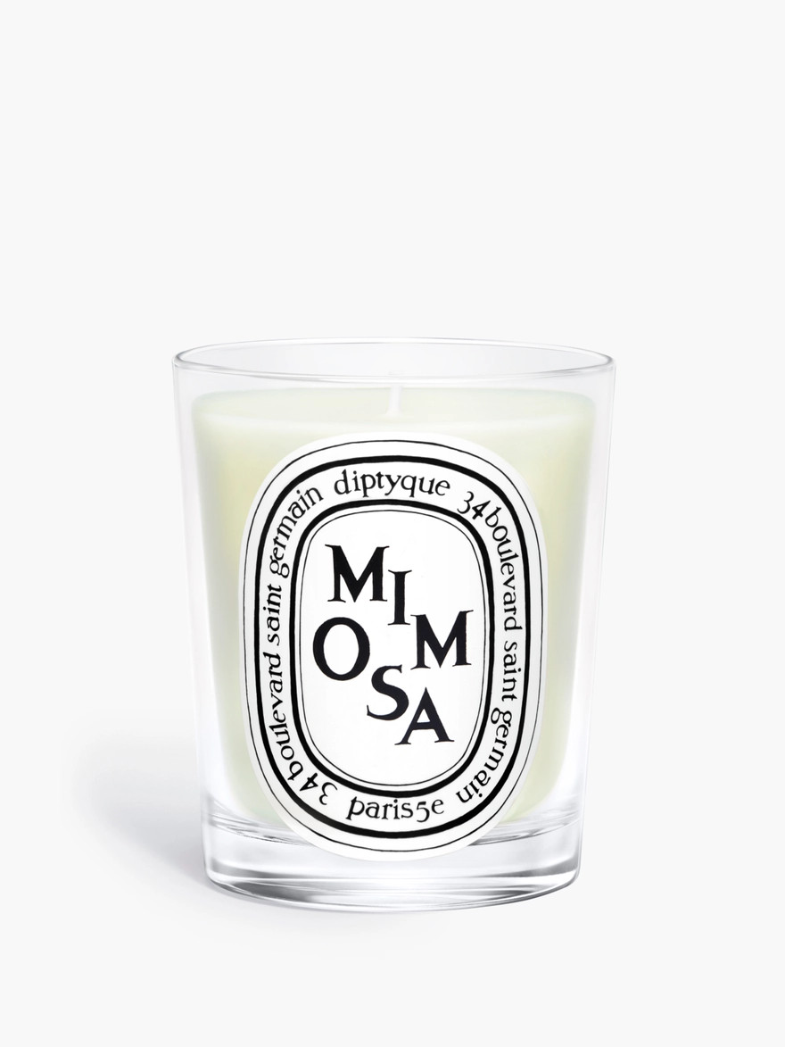 Mimosa
            Classic Candle | diptyque (US)