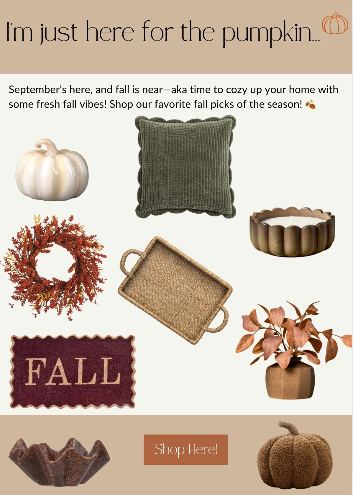 Fall home finds 

#LTKHome #LTKSeasonal #LTKFamily