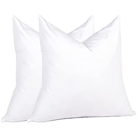 APSMILE 20x20 Goose Down Feather Throw Pillow Inserts 2 Pack - Premium Soft Cotton Euro Square Decor | Amazon (US)