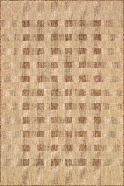 Beige Dortha Checkered Indoor/Outdoor 8' x 10' Area Rug | Rugs USA