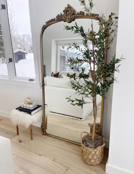 HOME \ floor mirror styling with items from Walmart! Olive tree setup and fun decor items like this wood knot!

Living room 

#LTKhome #LTKSeasonal #LTKfindsunder50