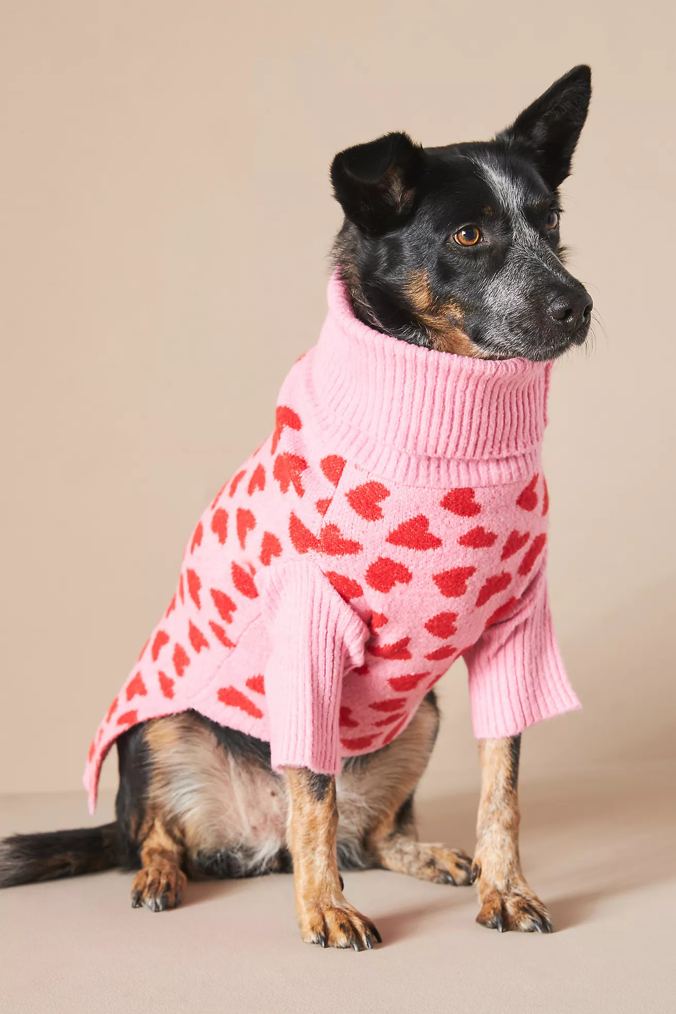 Little Beast The Love Sweater | Anthropologie (US)