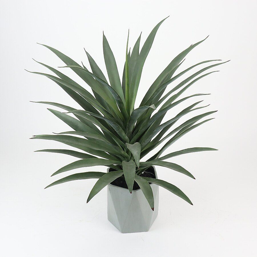 Origin 21  32-in Green Indoor Artificial Silk Plants | Lowe's