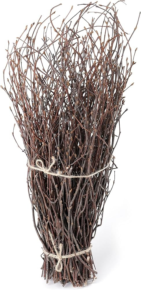 SOUJOY 100 PCS Birch Twigs for Vase, 16 Inch Natural Dried Birch Branches, Craft Decoration Birch... | Amazon (US)