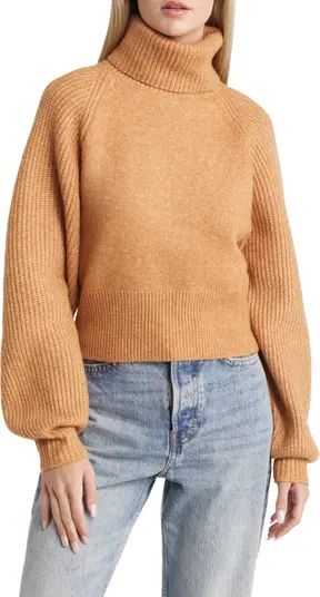 Rib Turtleneck Sweater | Nordstrom