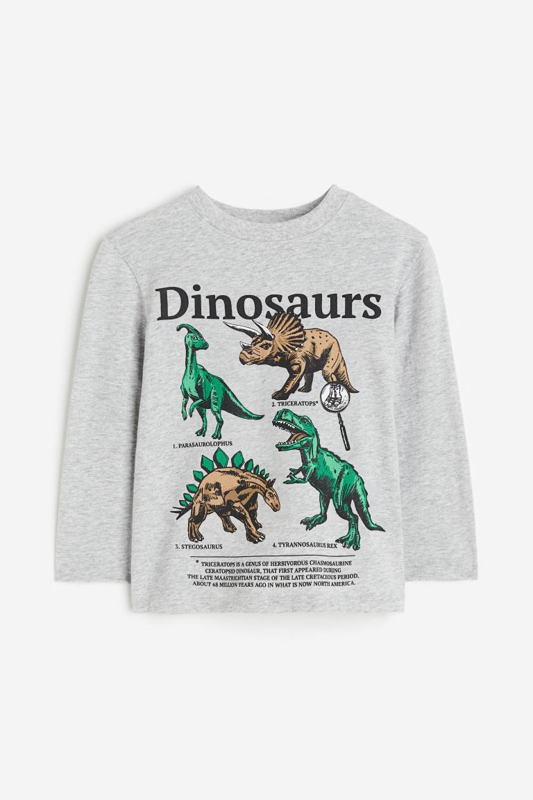 Printed Jersey Shirt | H&M (US + CA)