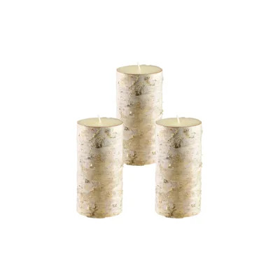 Unscented Pillar Candle | Wayfair North America