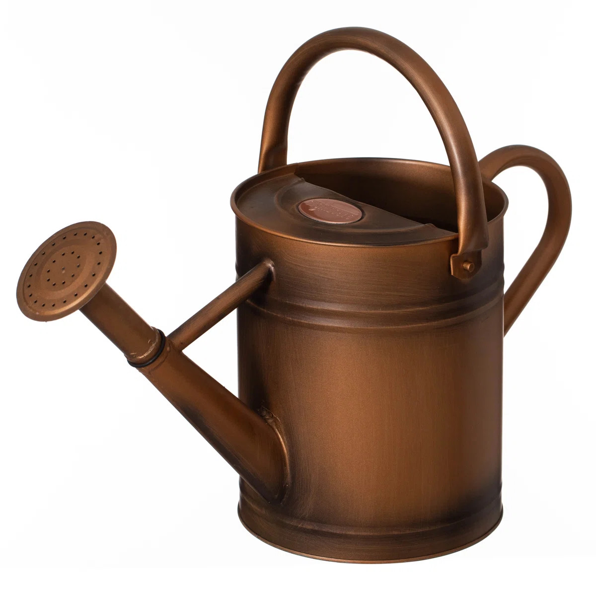 Arlmont & Co.  1 Gallon Galvanized Metal Watering Can With Removable Long Spout & Sprinkler Head ... | Wayfair North America