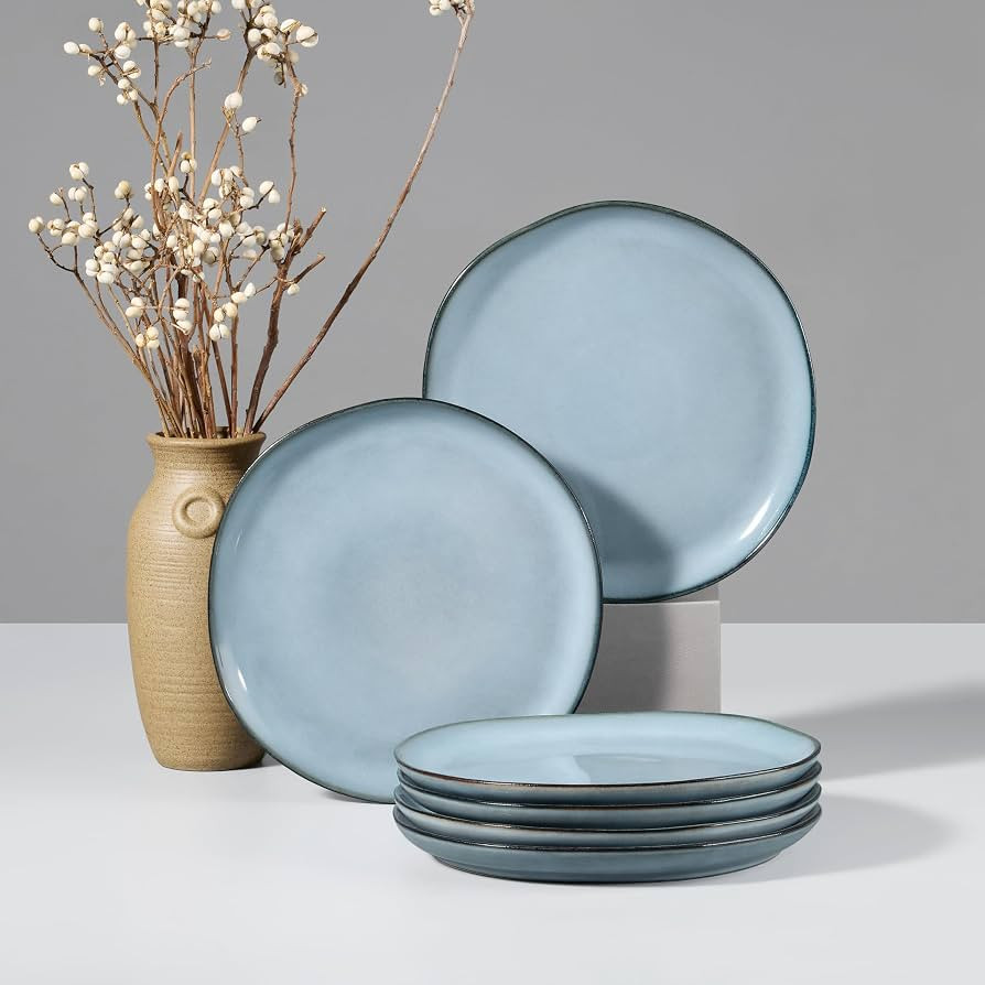 HaWare Stoneware Salad Plates Set of 6, 7.9\u201d Heavy Duty Ceramic Plates, Reactive Glaze Dinne... | Amazon (US)