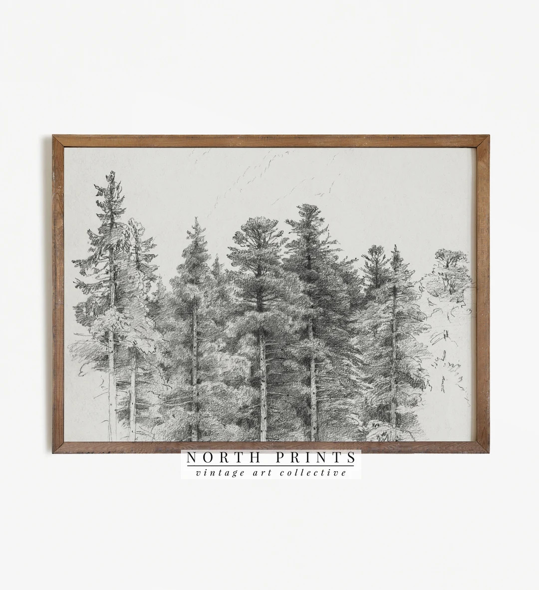 Antique Pine Tree Forest Sketch | Neutral Winter Sketch Art | PRINTABLE Digital Download | 278 | Etsy (US)
