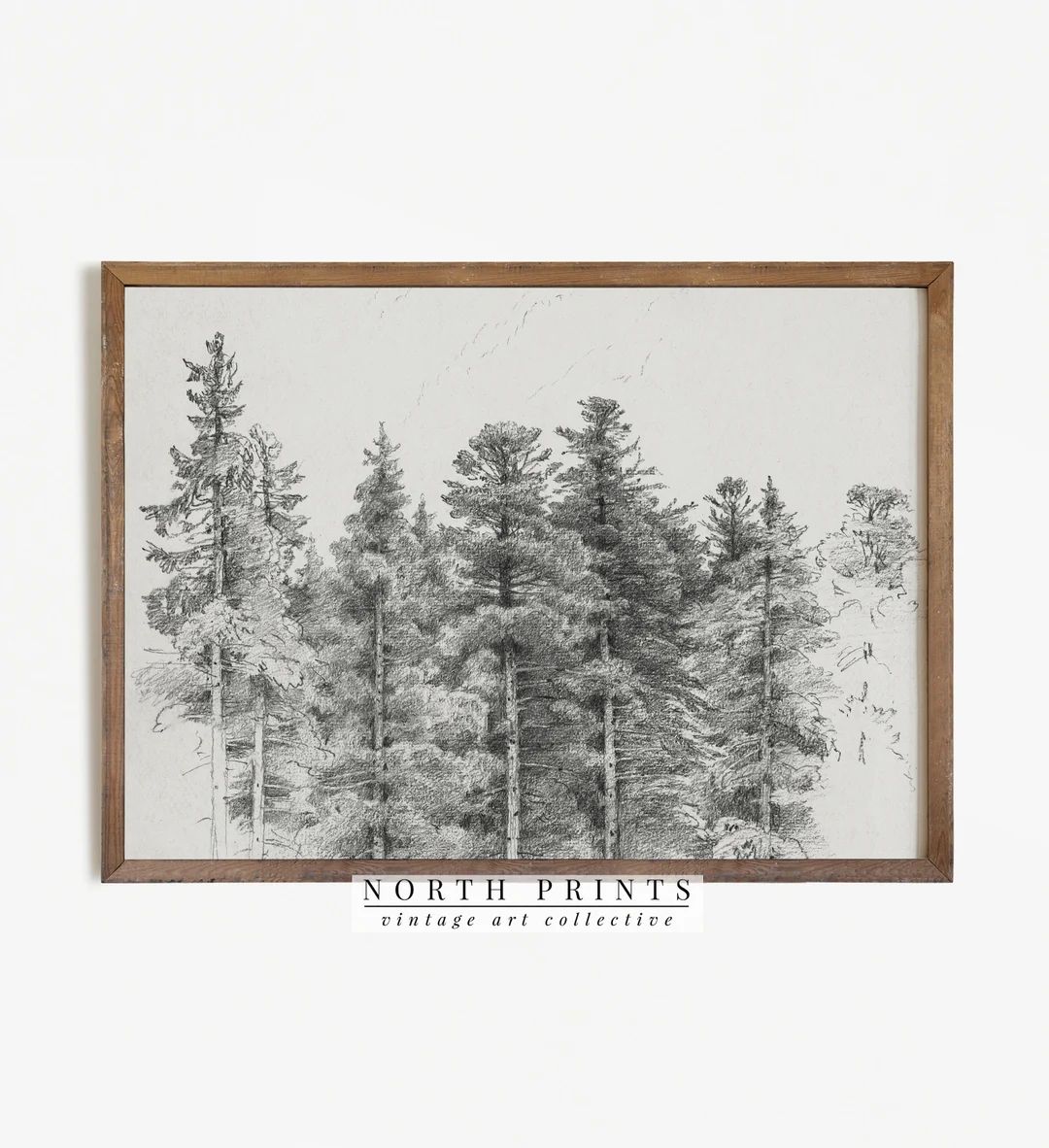 Antique Pine Tree Forest Sketch  Neutral Winter Sketch Art  - Etsy | Etsy (US)
