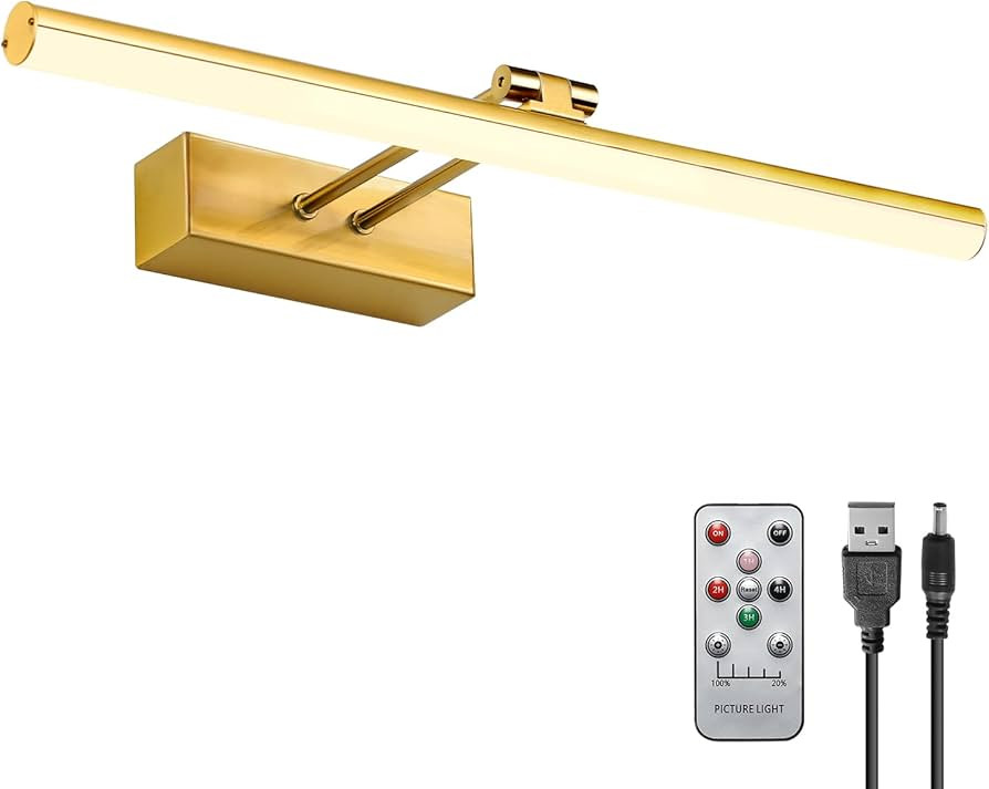 HOWMZON Picture Light, Battery Picture Light with Remote, 16" Art Light for Paintings, Rechargeab... | Amazon (US)