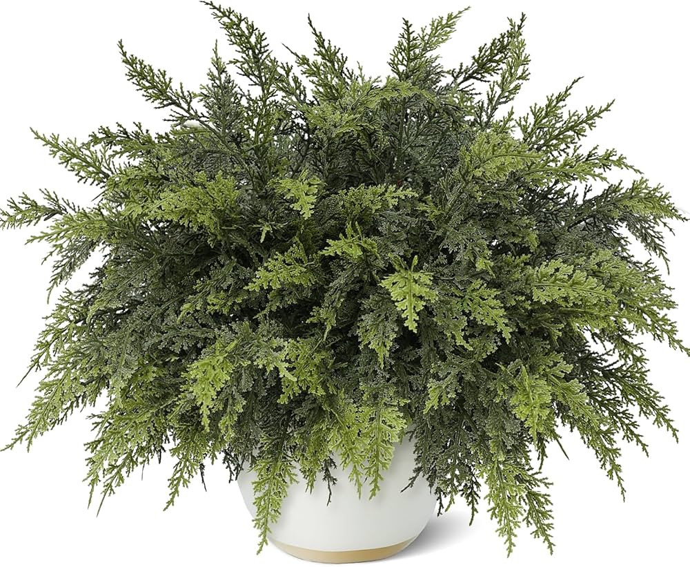 18" Real Touch Cedar Branches -24 Pcs, Artificial Christmas Cedar Branch Realistic Fake Pine Pick... | Amazon (US)