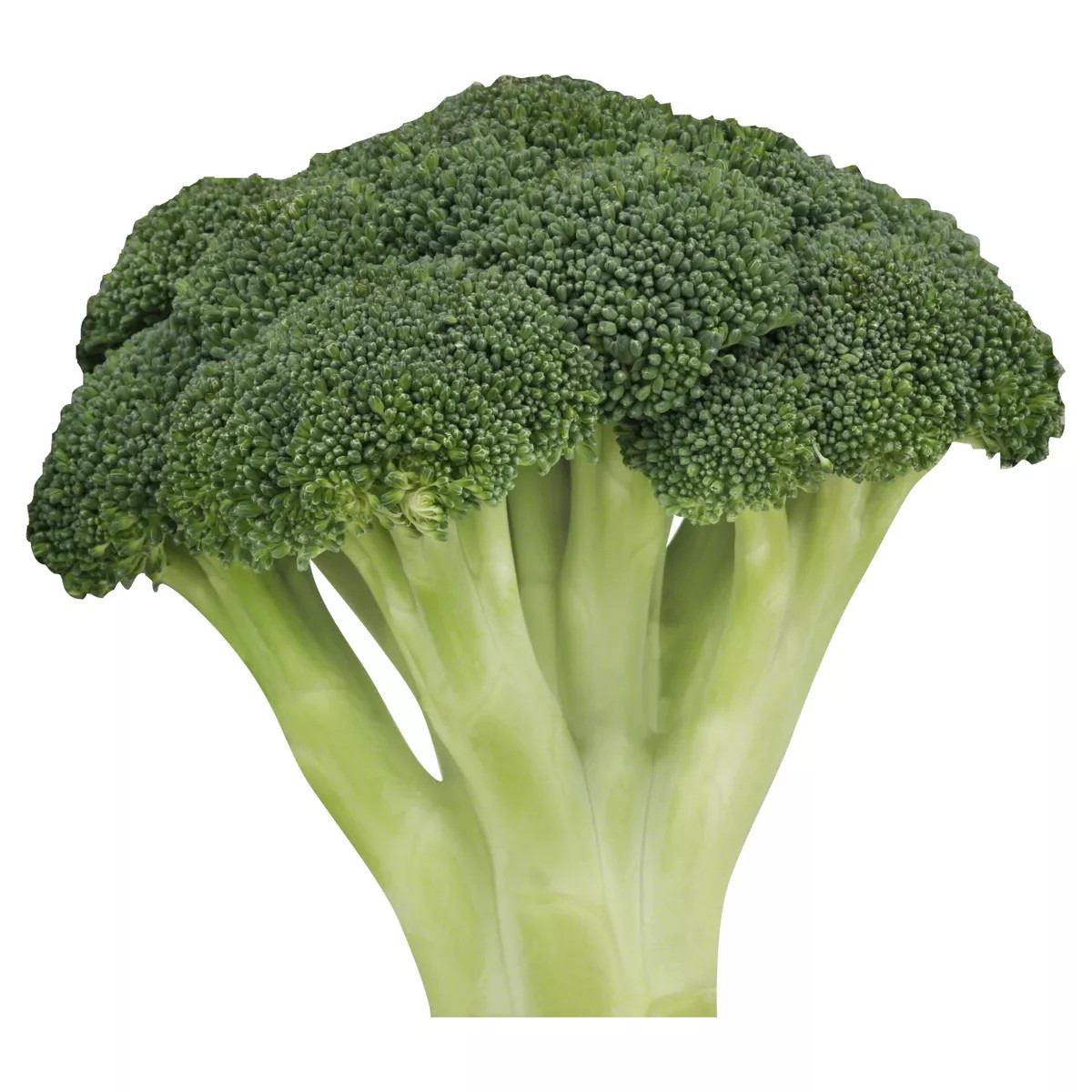 Broccoli Bunch - each | Target