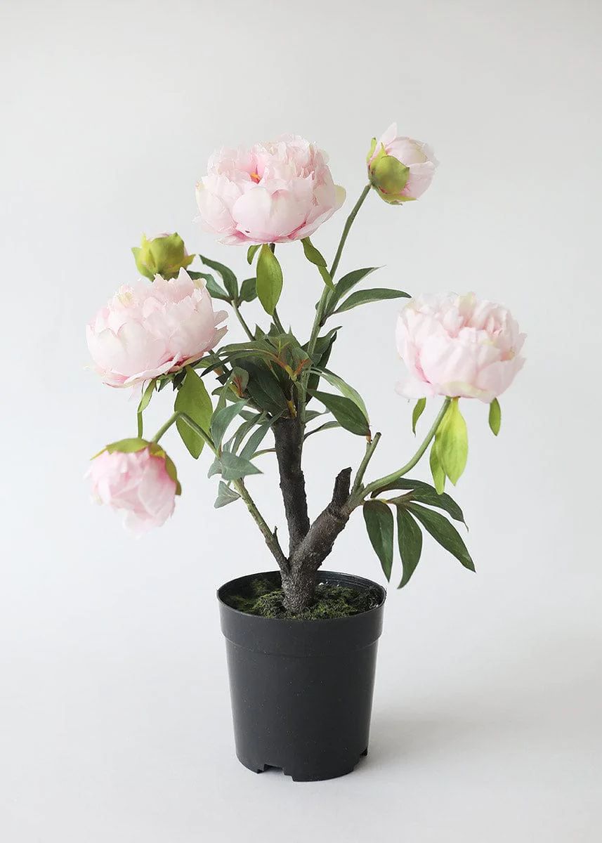 Pink Faux Peony Plant in Drop-In Pot - 19.5 | Afloral