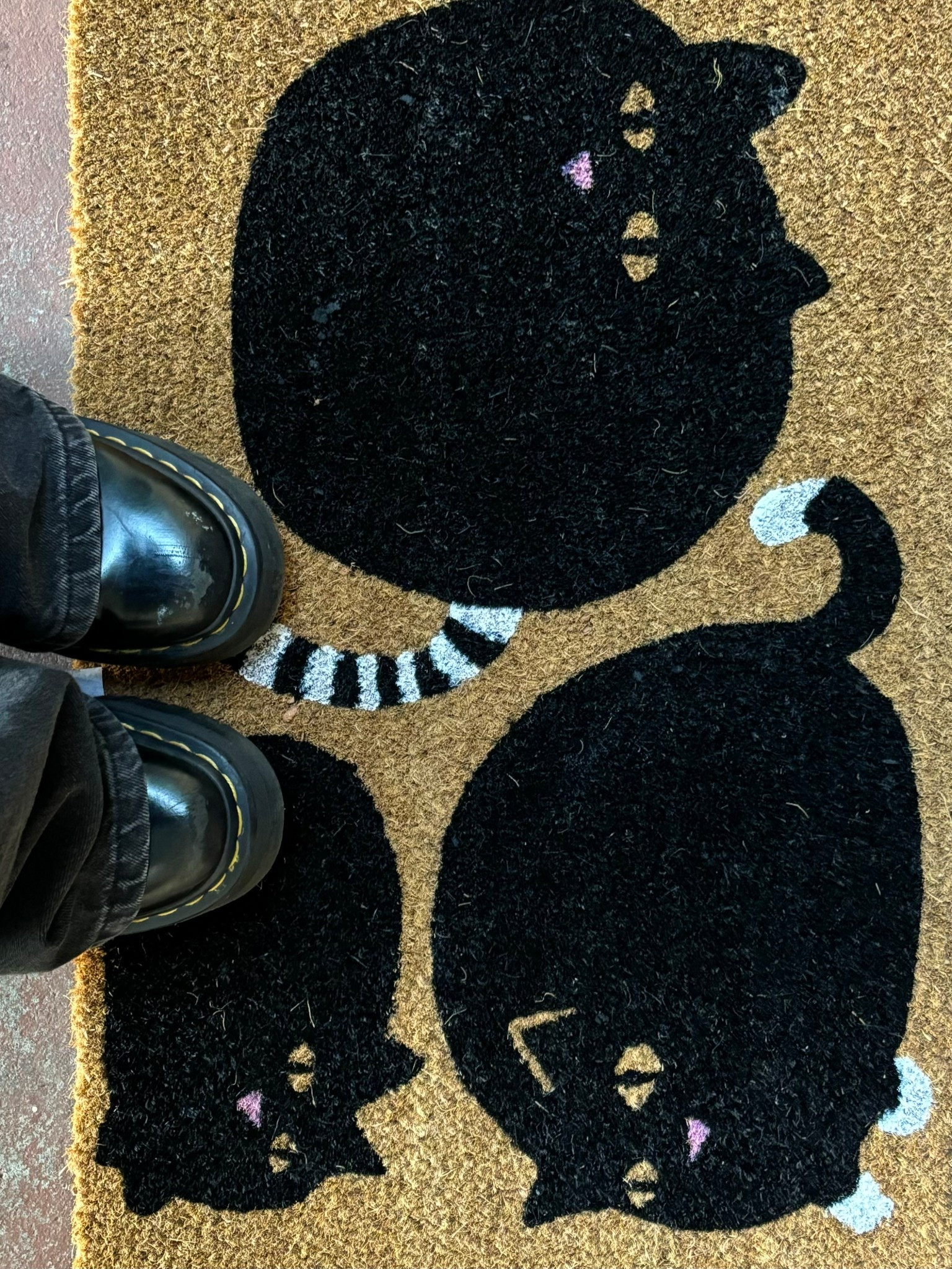 black cat rug<3

#LTKaustralia