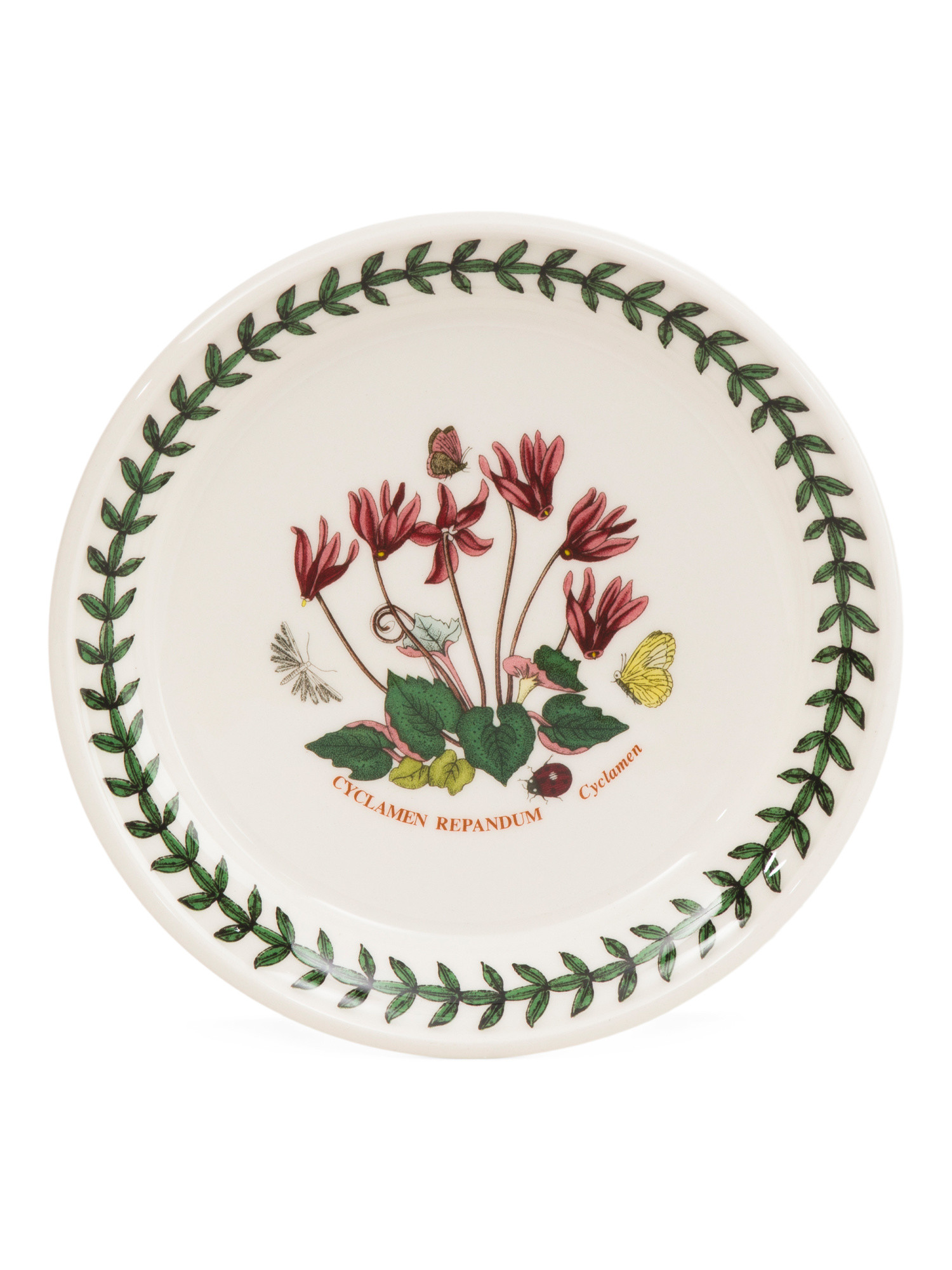 6in Botanic Garden Side Plate | TJ Maxx