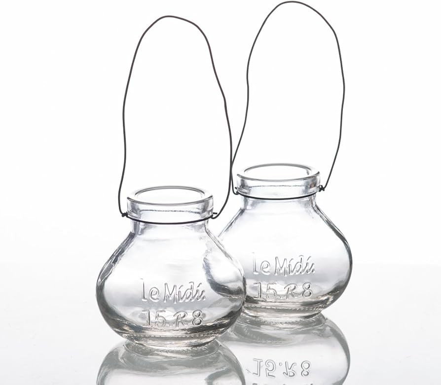 Richland Vintage Jar Hanging Glass Vase Set of 48 | Amazon (US)