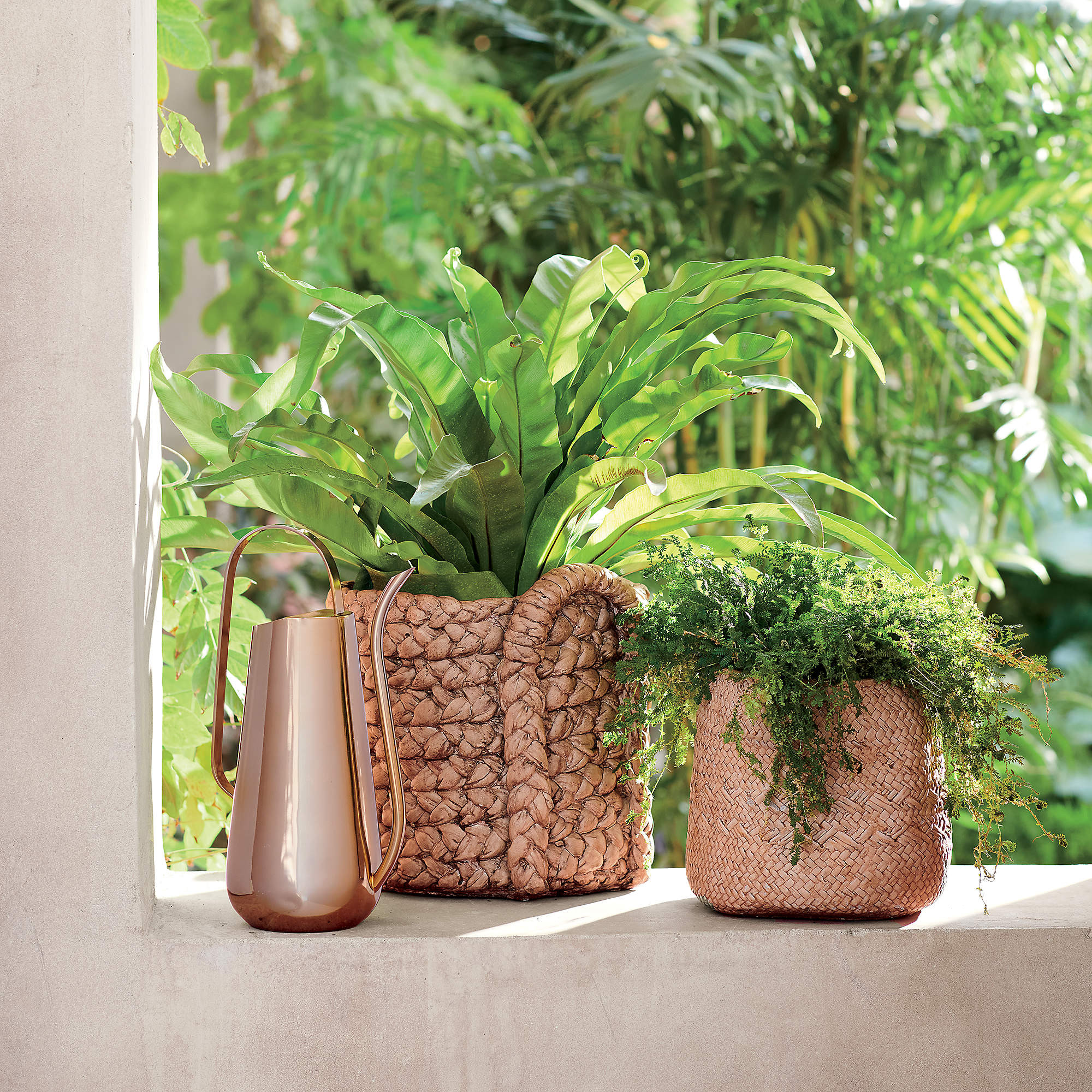 Brass-Plated Watering Can + Reviews | CB2 | CB2