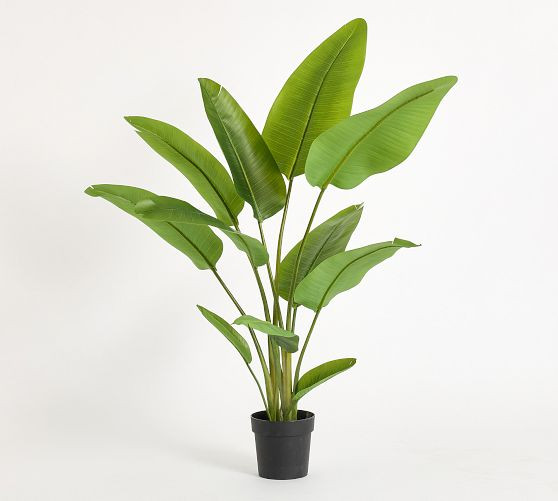 Faux Banana Leaf Tree | Pottery Barn (US)